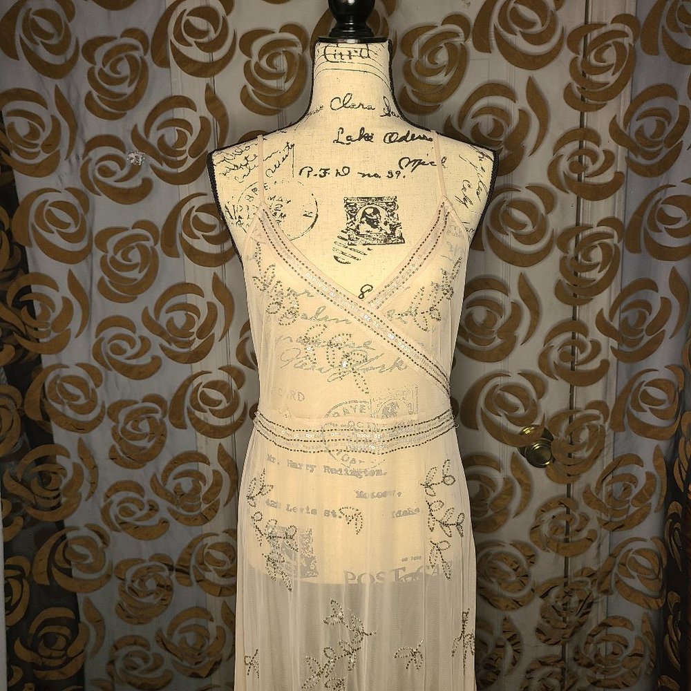 Elegant See-Through Maxi Dress